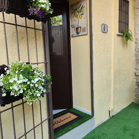 Molly House *
